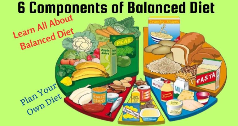 6 Components of Balanced Diet